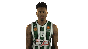 basketball Sticker by EuroLeague