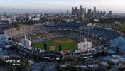 Los Angeles Baseball GIF