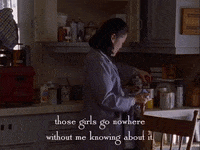 season 1 netflix GIF by Gilmore Girls 