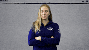 NevadaWolfPack swim dive wolfpack nevada GIF