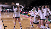 Volleyball Bison GIF by NDSU Athletics