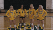 Volleyball Bison GIF by NDSU Athletics