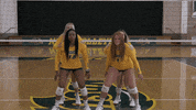 Volleyball Bison GIF by NDSU Athletics