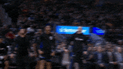 Celebrate Lets Go GIF by NBA