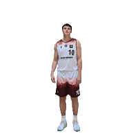 Robin Hood Basketball Sticker by Iserlohn Kangaroos