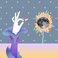 starry night GIF