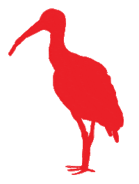 ibis Sticker by TEN TO ONE Rum