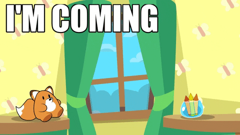 Cartoon gif. A bear cartwheels across a room toward a stuffed squirrel. Text, "I'm coming."
