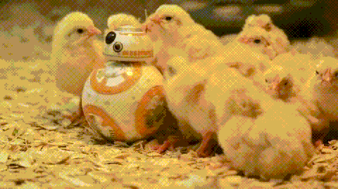 bb-8 GIF