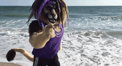 mls GIF by Orlando City SC