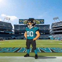 Game Day Football GIF by Doge Pound