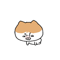 Cat No Sticker by LINE FRIENDS