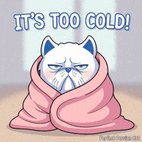Cat Freezing GIF by VeeFriends