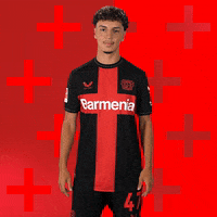 Bayer 04 Win GIF by Bayer 04 Leverkusen