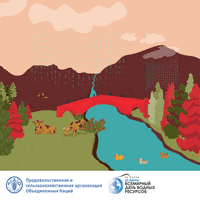 Food And Agriculture Organization Water GIF by FAO
