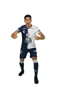 Liga Mx Mexico Sticker by Club Pachuca Tuzos