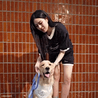 Couple Love GIF