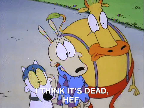 rockos modern life nicksplat GIF