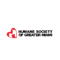 Adoption Adopt Sticker by Humane Society of Greater Miami