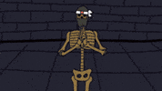 Skeleton Ninja GIF