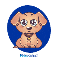 Sticker by Nexgard Brasil
