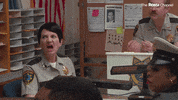 Reno 911 GIF by The Roku Channel