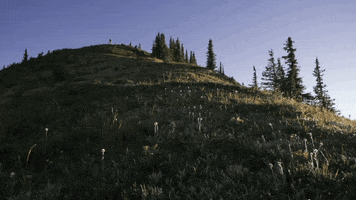 builder GIF by EchoBoom Sports