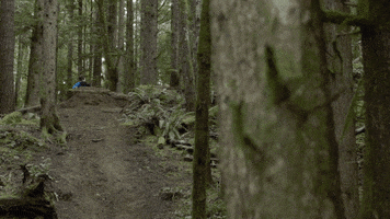builder GIF by EchoBoom Sports