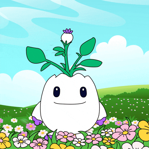 Climate Change Flowers GIF by Magic Eden