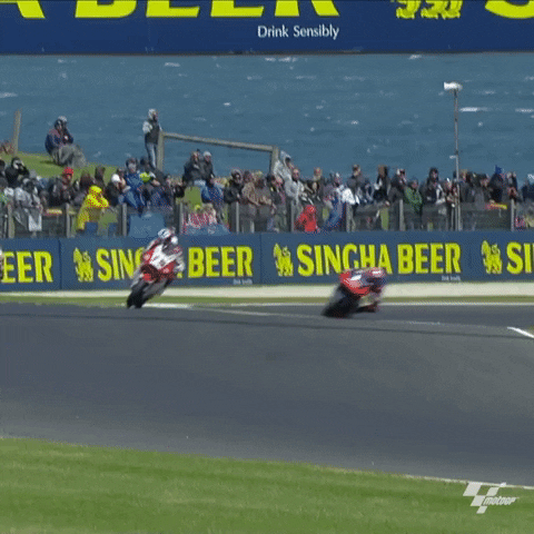 Dr_P giphygifmaker GIF