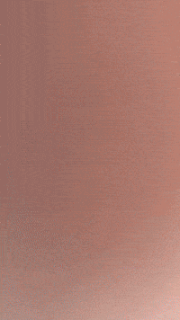 Pig Bacon GIF by Youtooz