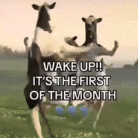 First Of The Month Dance GIF