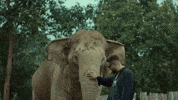Music Video Pet GIF by Karan Aujla
