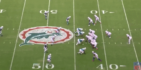 nfalato11 giphyupload GIF