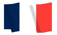 France Flag Sticker