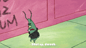season 9 episode 25 GIF by SpongeBob SquarePants
