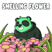 Happy Stop And Smell The Roses Sticker by SuperVerse
