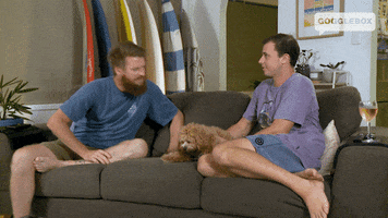 Dog Watching Tv GIF by Gogglebox Australia