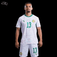 Fifa World Cup Caf GIF by Respective