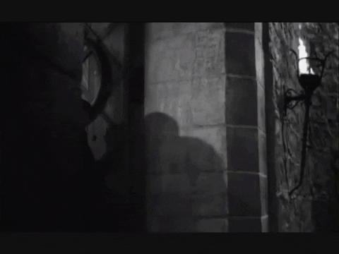 mrsvikingbunny giphygifmaker young frankenstein klobuchar GIF