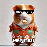 GIF by Guinea Gambino