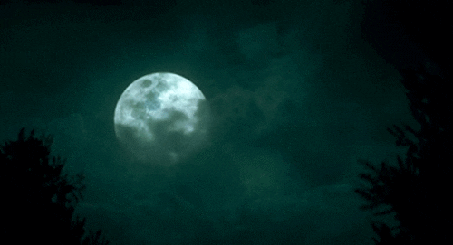 full moon night GIF