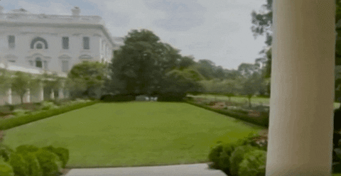 White House Rose Garden GIF by GIPHY News