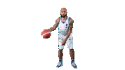 Basketball Logan Sticker by Dinamo Sassari