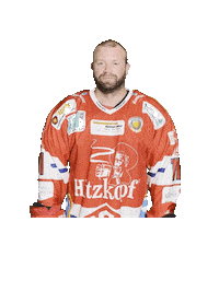 Hockey Sticker by dsc-eishockey