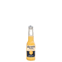 cerveza finde Sticker