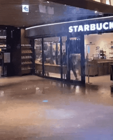 Toooootmtmtm giphyupload GIF