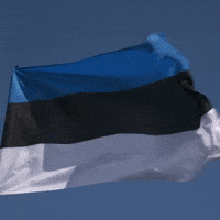 Flag Of Estonia GIF by FIA World Rally Championship