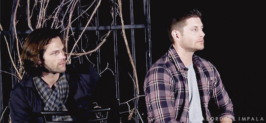 aborddelimpala giphyupload nope look jensen ackles GIF