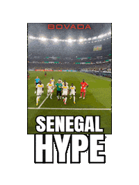 Senegal Goal Sticker by Bovada
